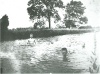  Boys enjoying the River Soar in 1905 