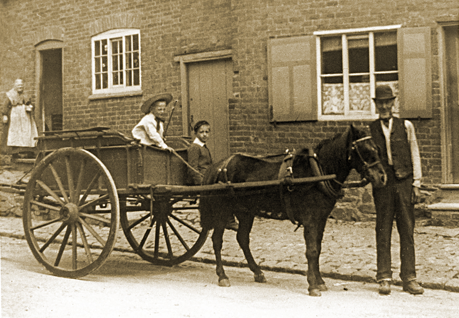 William Wilders  Carrier of Quorn