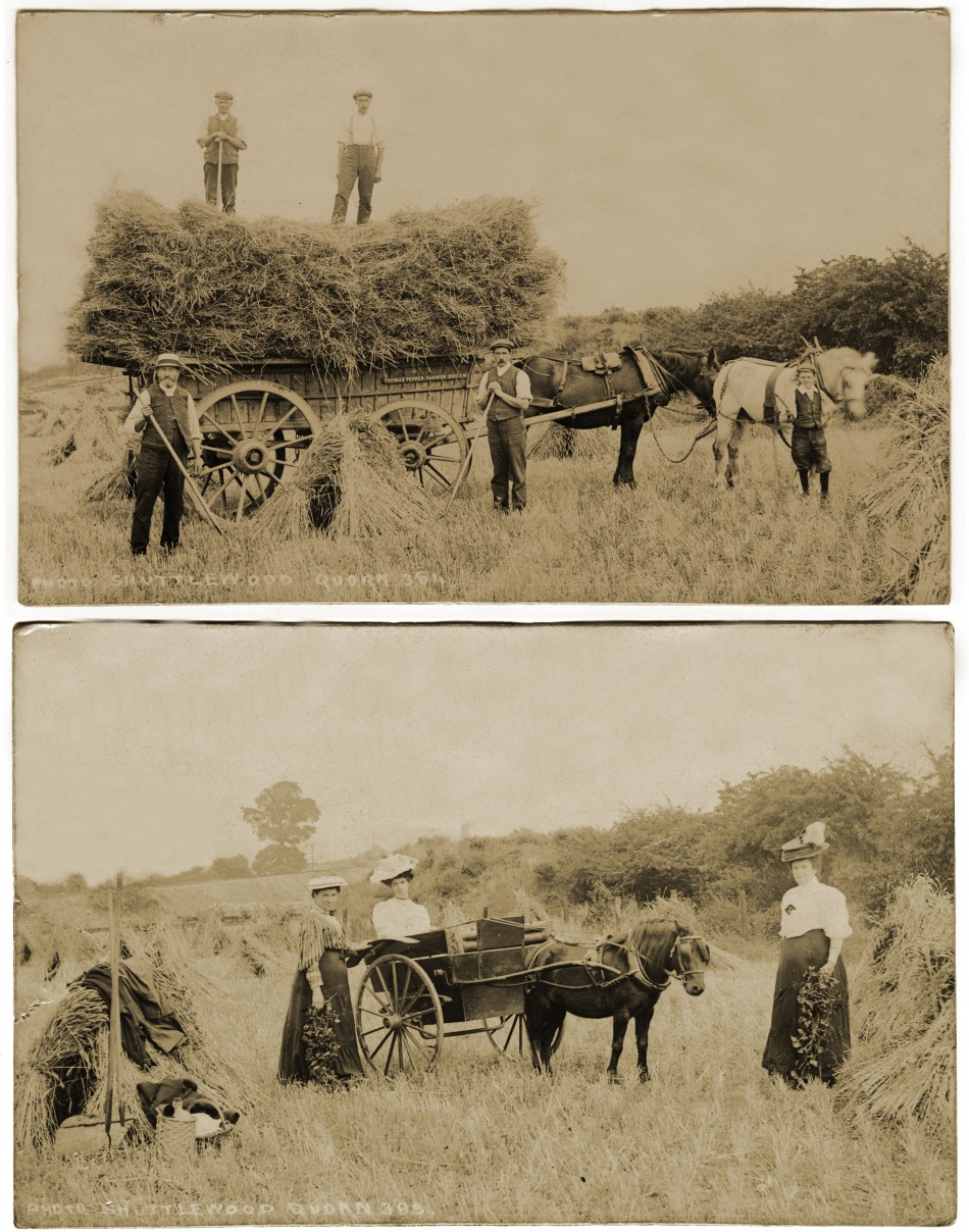 Harvest at Home Farm, Quorn, early 1900s