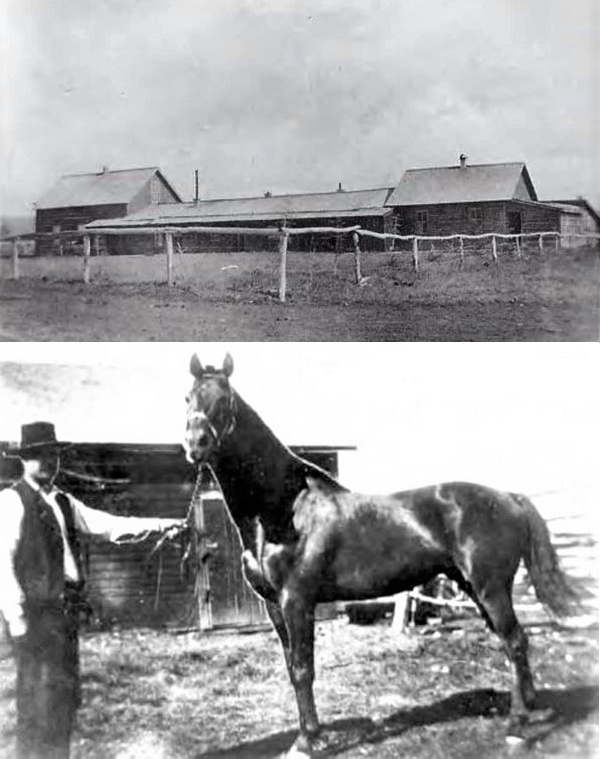 The Quorn Ranch Company, North America