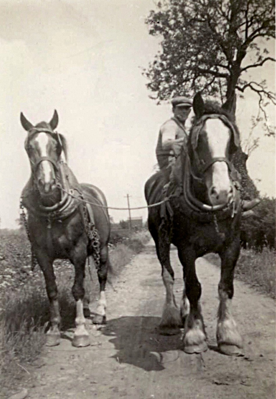 Harold Crossley, Quorn Fields Farm