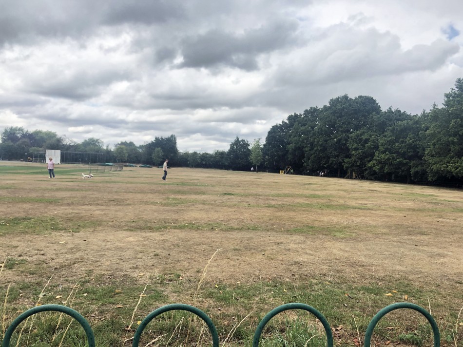 Caves Field, Quorn, ridge and furrow 2022