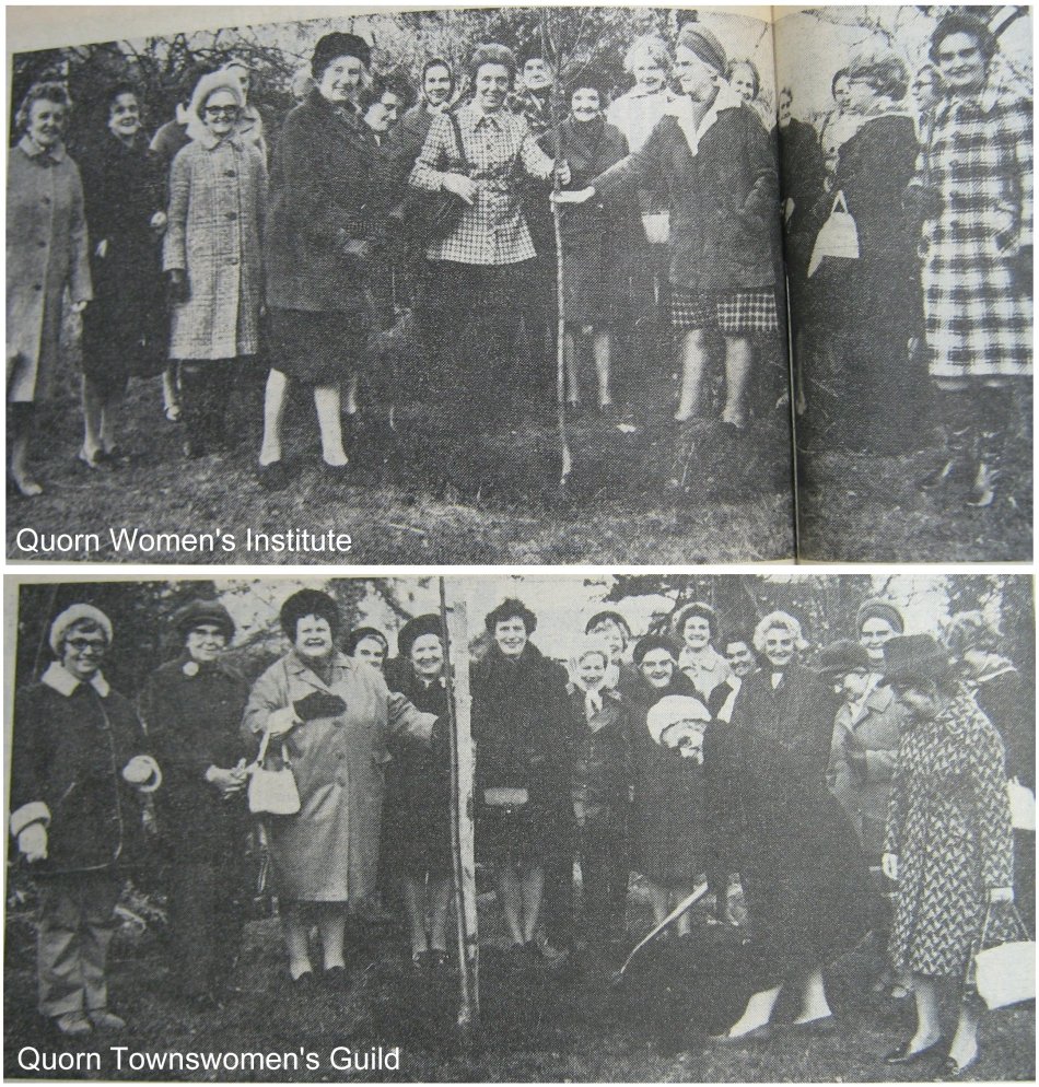 Women unite to plant a tree for '73